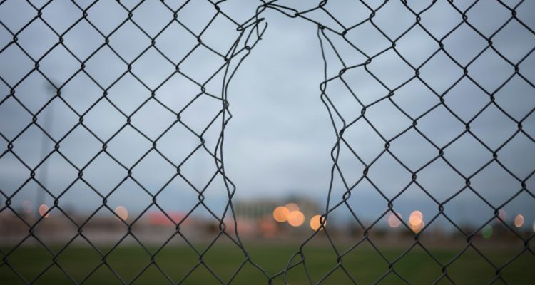 Réparation de grillage dans les Yvelines