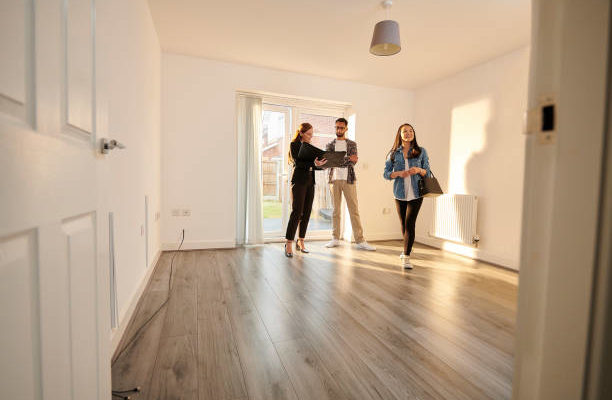 achat maison à Serpaize